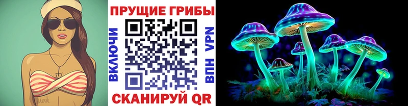 Купить где  Нязепетровск  Псилоцибиновые грибы Psilocybine cubensis 